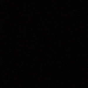 Meet your Posher, Sammy